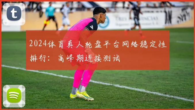 2024体育真人轮盘平台网络稳定性排行：高峰期连接测试